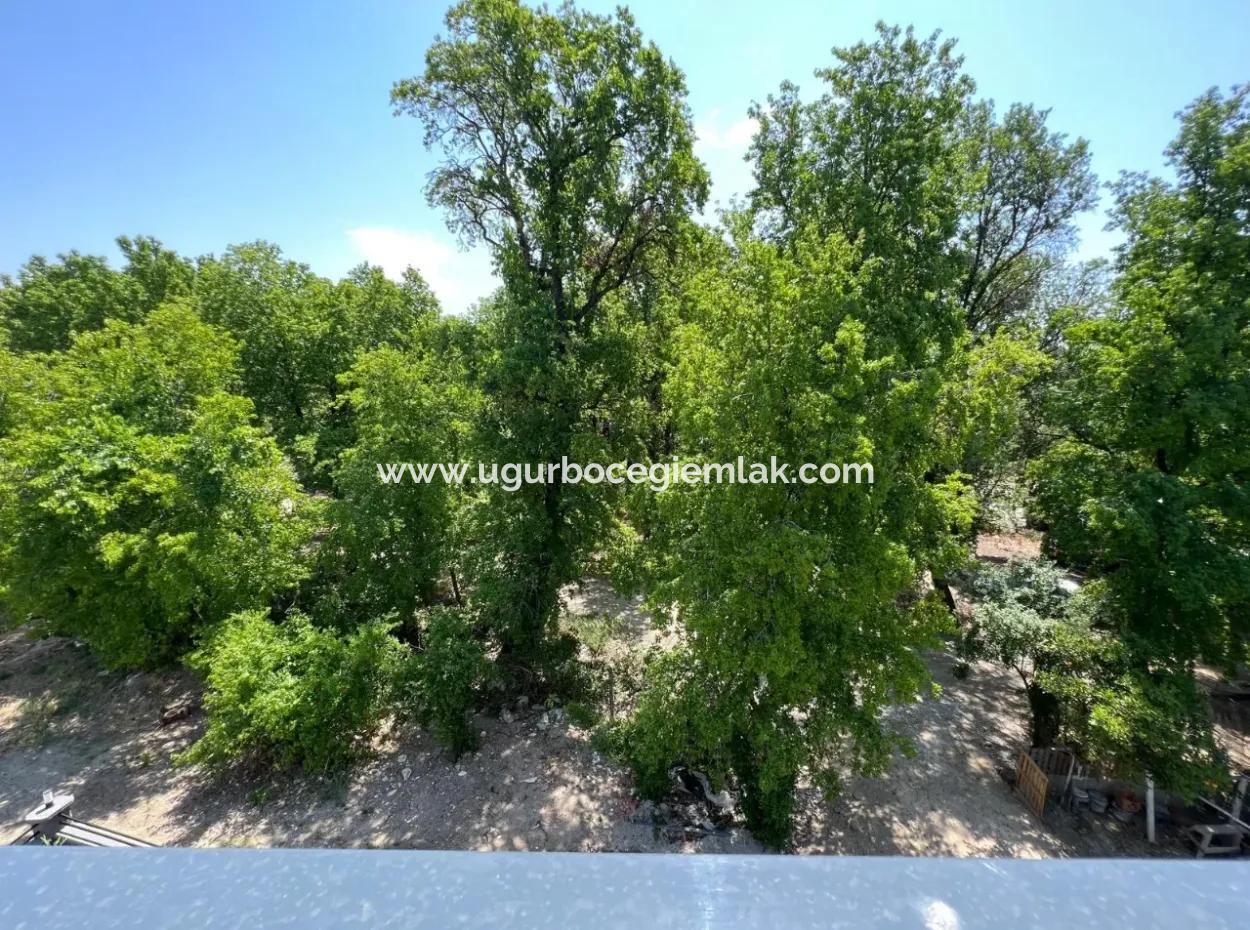 Im Inneren Der Altins. 3 1 Satilik Daire