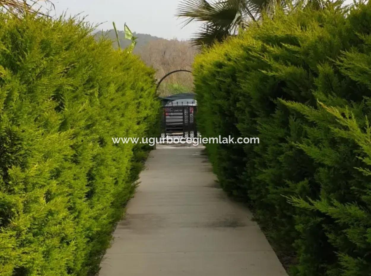 2 1 Twin Villas Zum Verkauf Auf Dem Gelände In Karaçali