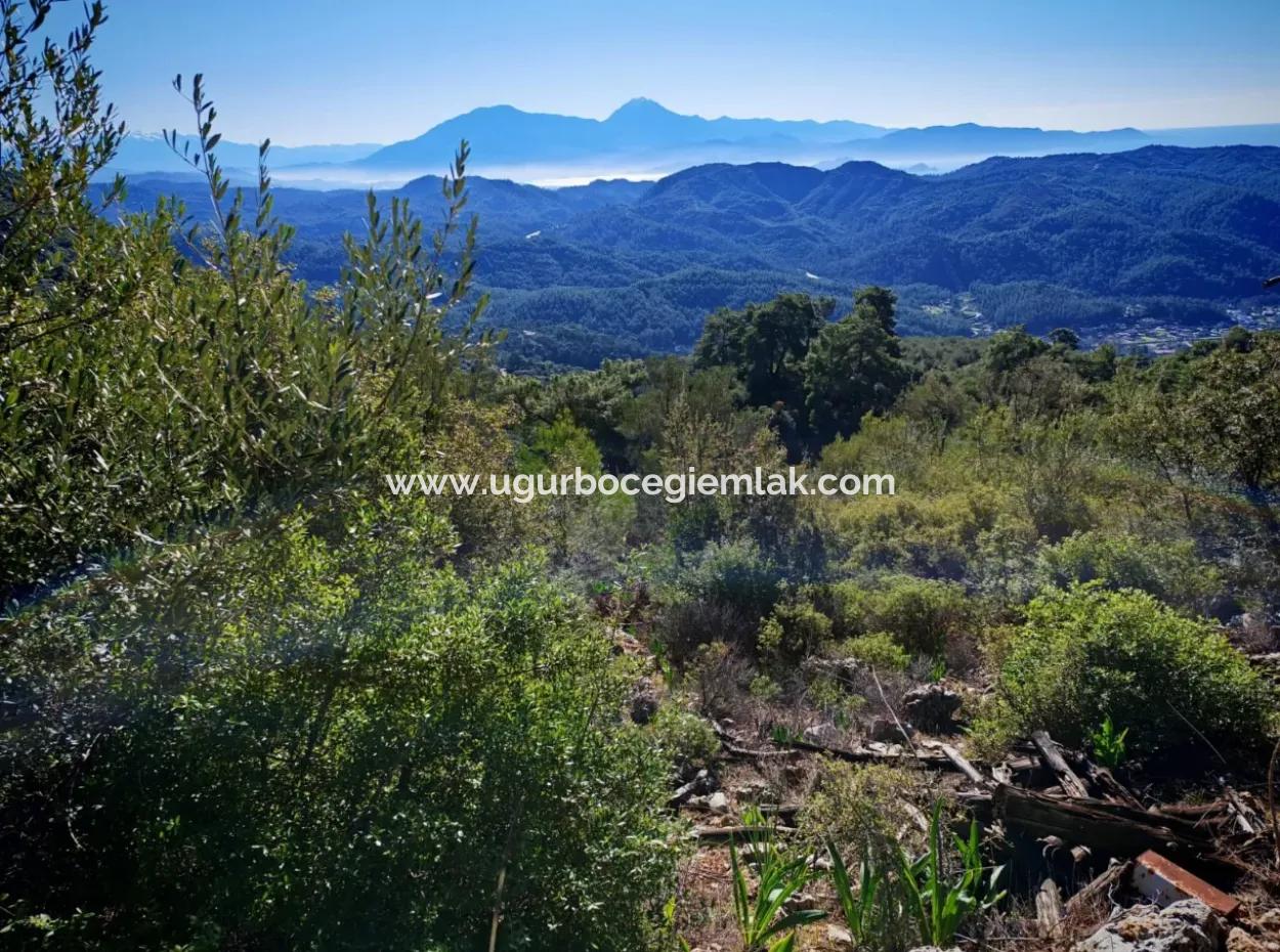 Feld Zum Verkauf In Gocek Gökçeovacik Lokalität