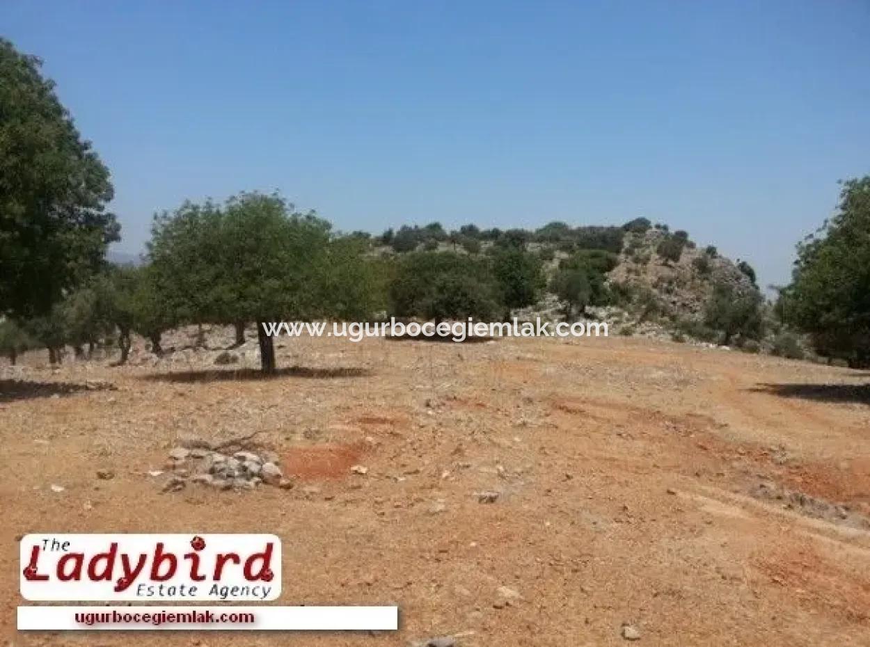 Fläche 452 M2 Grundstück Zum Verkauf In Dalaman Incebel