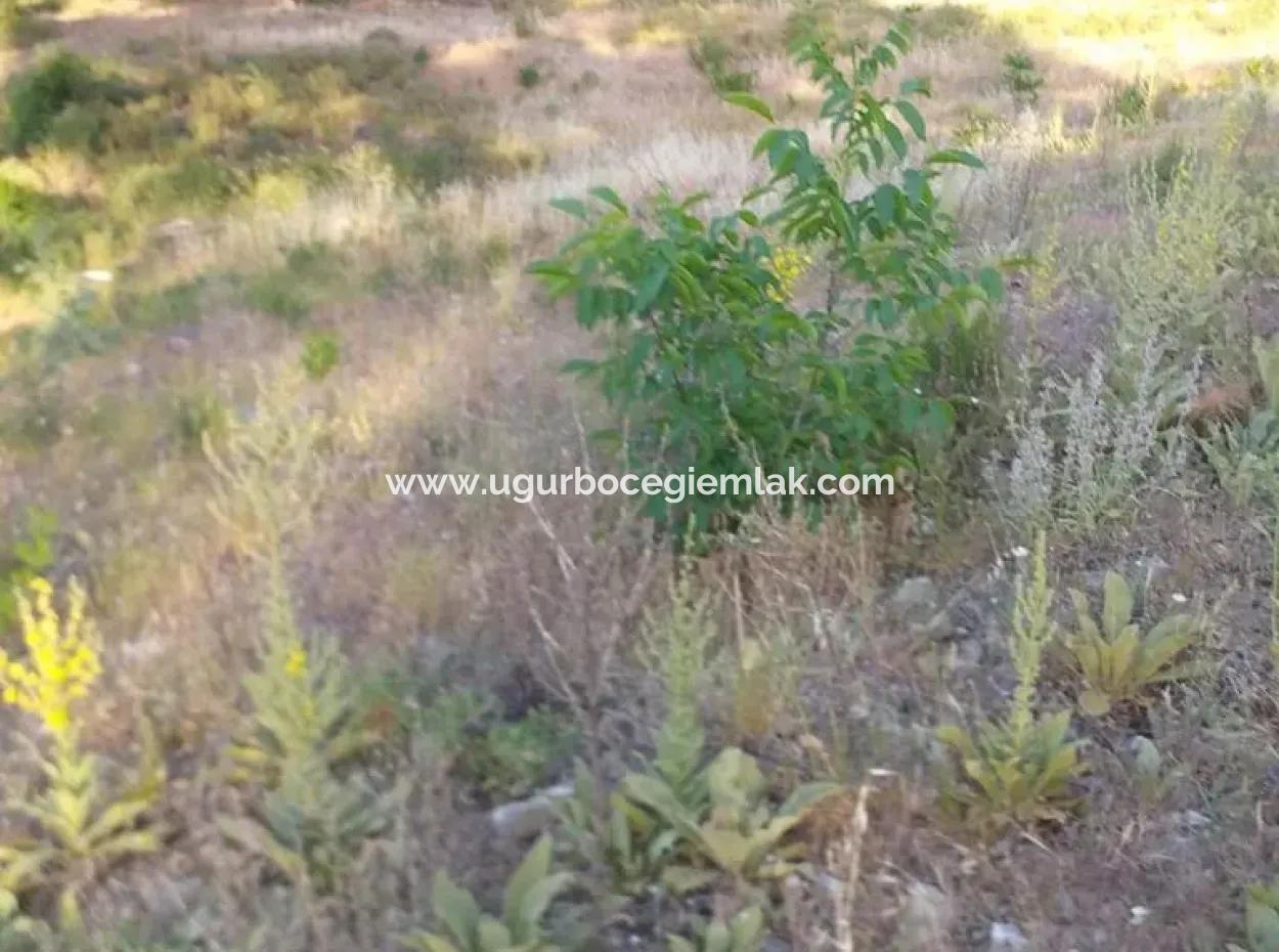 20.000 M2 Feld Zum Verkauf In Dalaman Elcik Village
