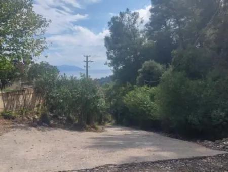 Oliven Zum Verkauf Mit Meerblick In Sarigerme