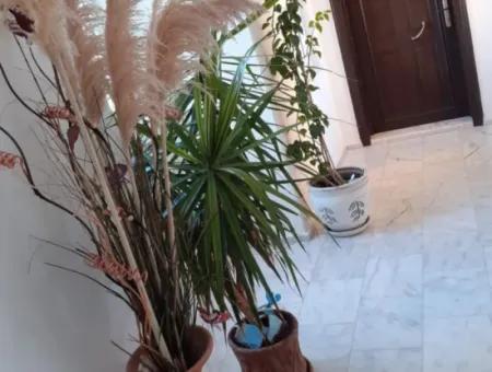 Wohnung Zum Verkauf Mit Pool Auf Der Dalaman-Tagebuchseite