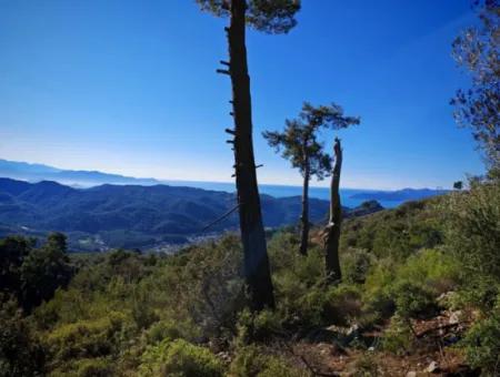 Feld Zum Verkauf In Gocek Gökçeovacik Lokalität