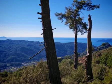 Feld Zum Verkauf In Gocek Gökçeovacik Lokalität