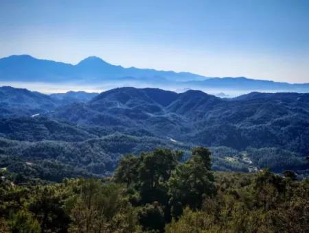 Feld Zum Verkauf In Gocek Gökçeovacik Lokalität