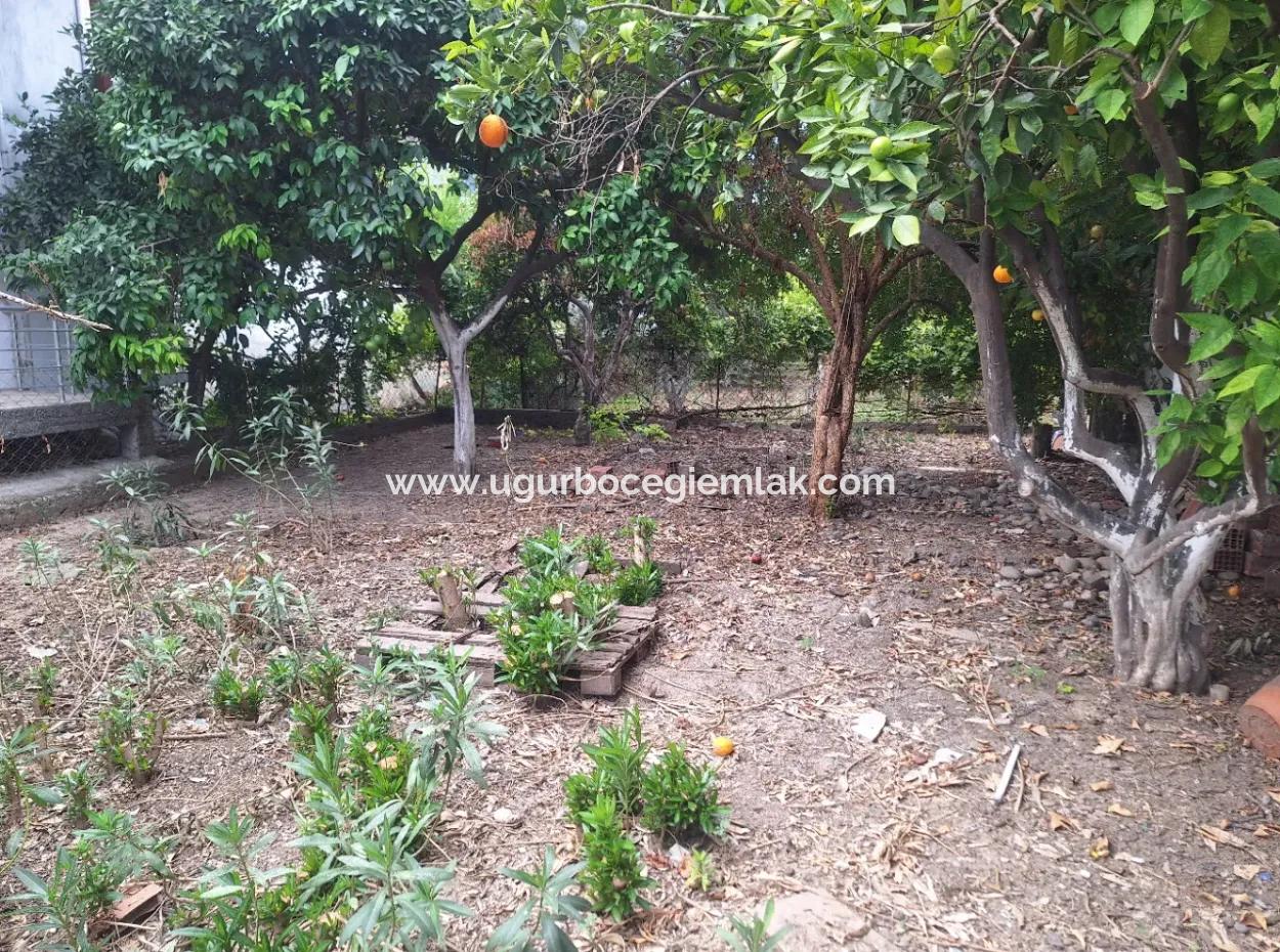 Dalaman, Kırcivarı -  Newly Renovated Two Bed House