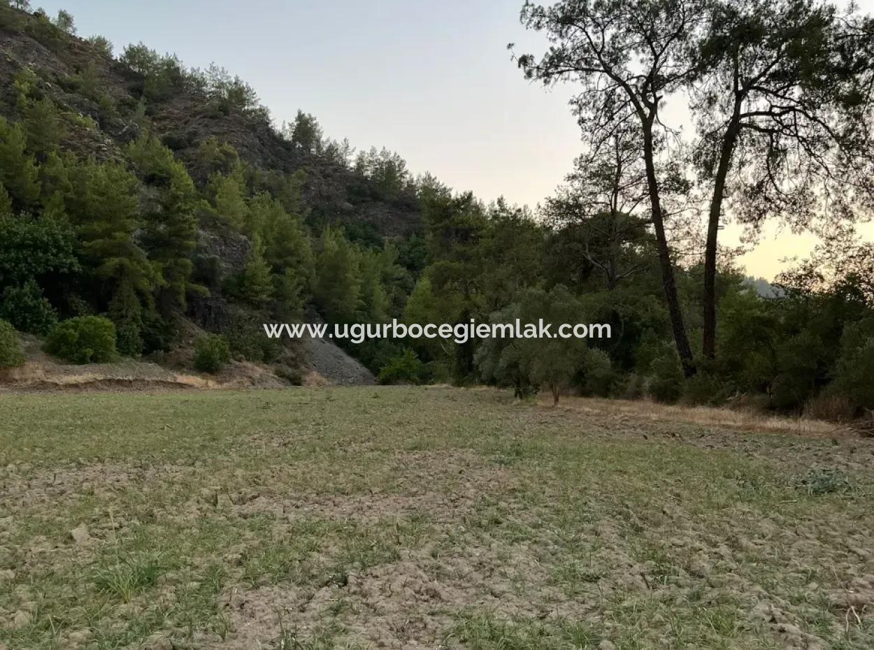 Opportunity In Karacaağaç Is A Field For Sale With A Single Title Deed