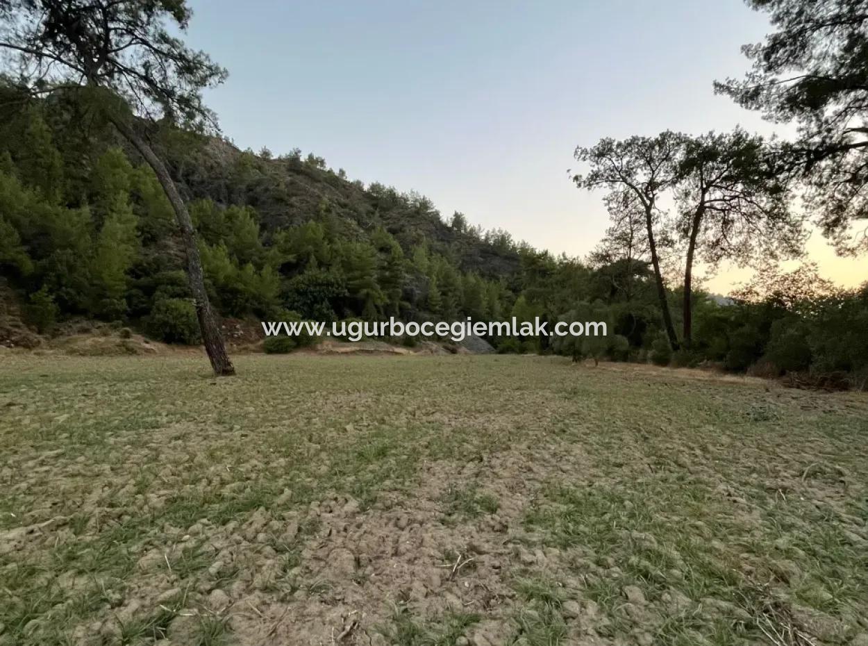 Opportunity In Karacaağaç Is A Field For Sale With A Single Title Deed
