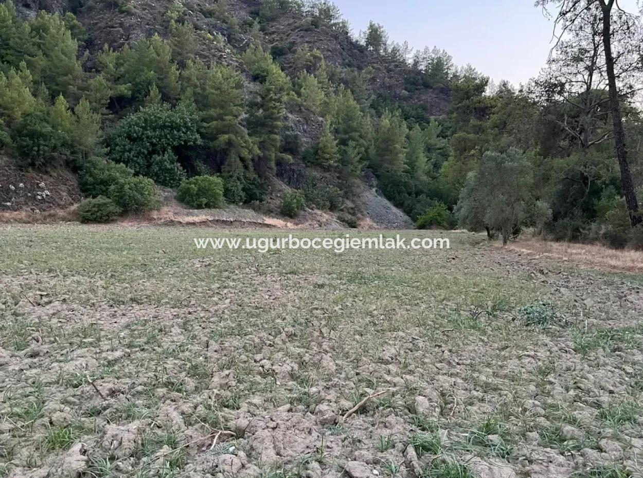 Opportunity In Karacaağaç Is A Field For Sale With A Single Title Deed