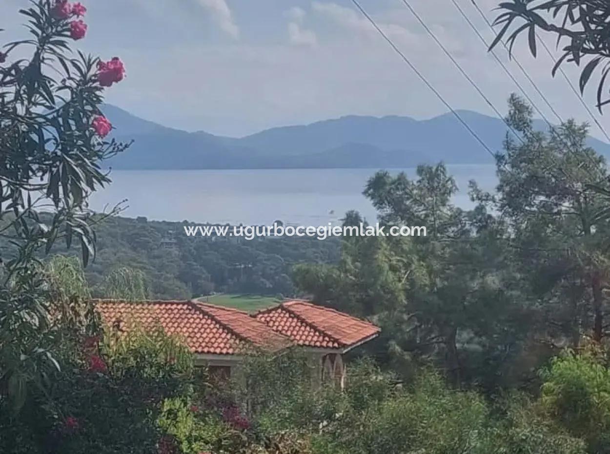 Olives For Sale With Sea View In Sarigerme