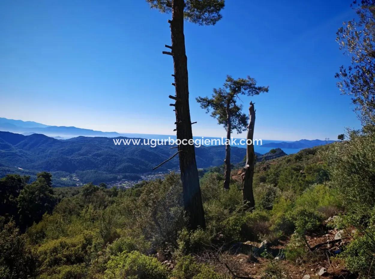 Field For Sale In Gocek Gökçeovacik Locality