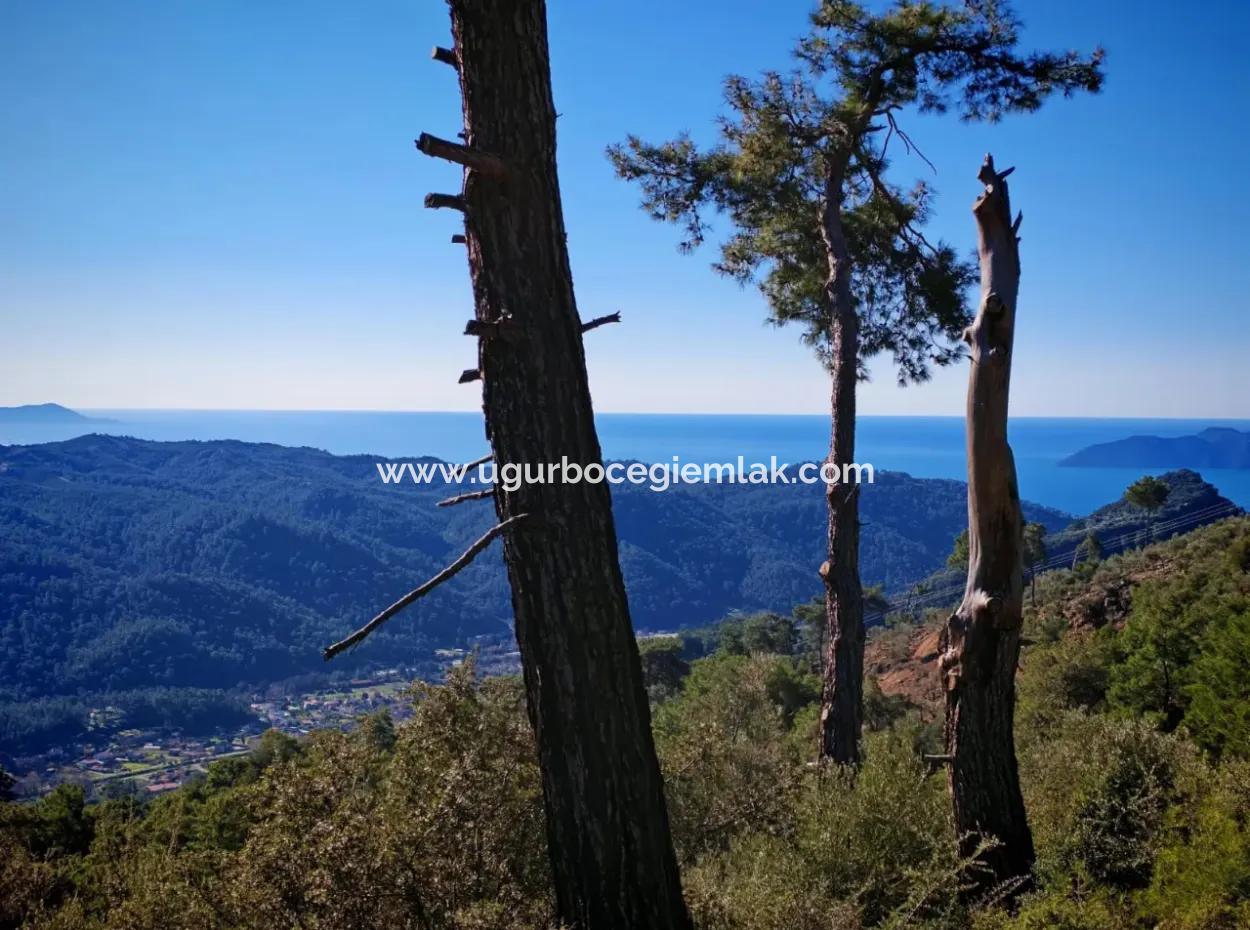 Field For Sale In Gocek Gökçeovacik Locality
