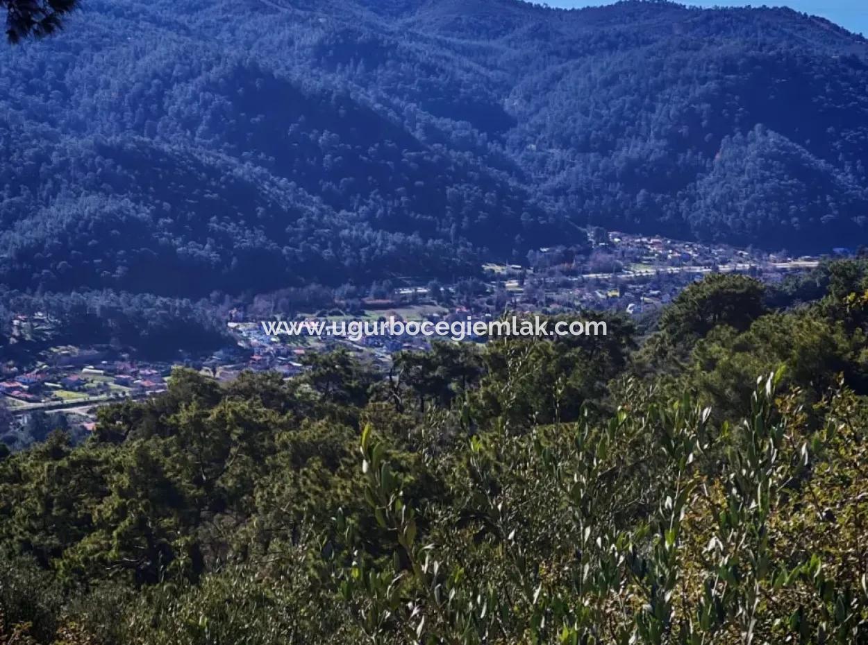 Field For Sale In Gocek Gökçeovacik Locality
