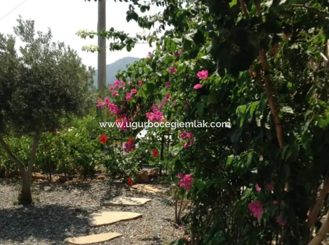 Magnificent Villa For Sale In Sarigerme Sari Evler Site