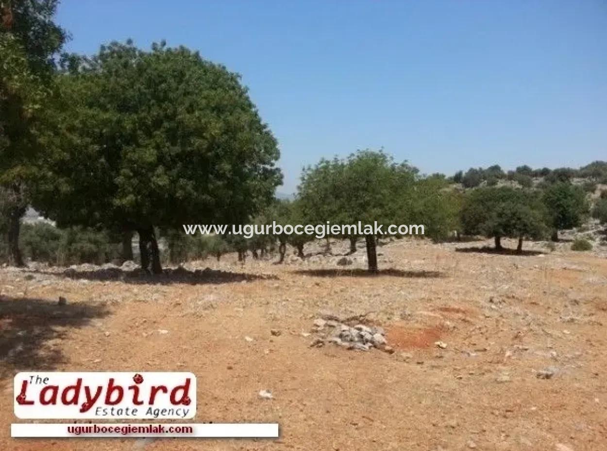 Dalaman, Incebel - 452 M2 Building Plot