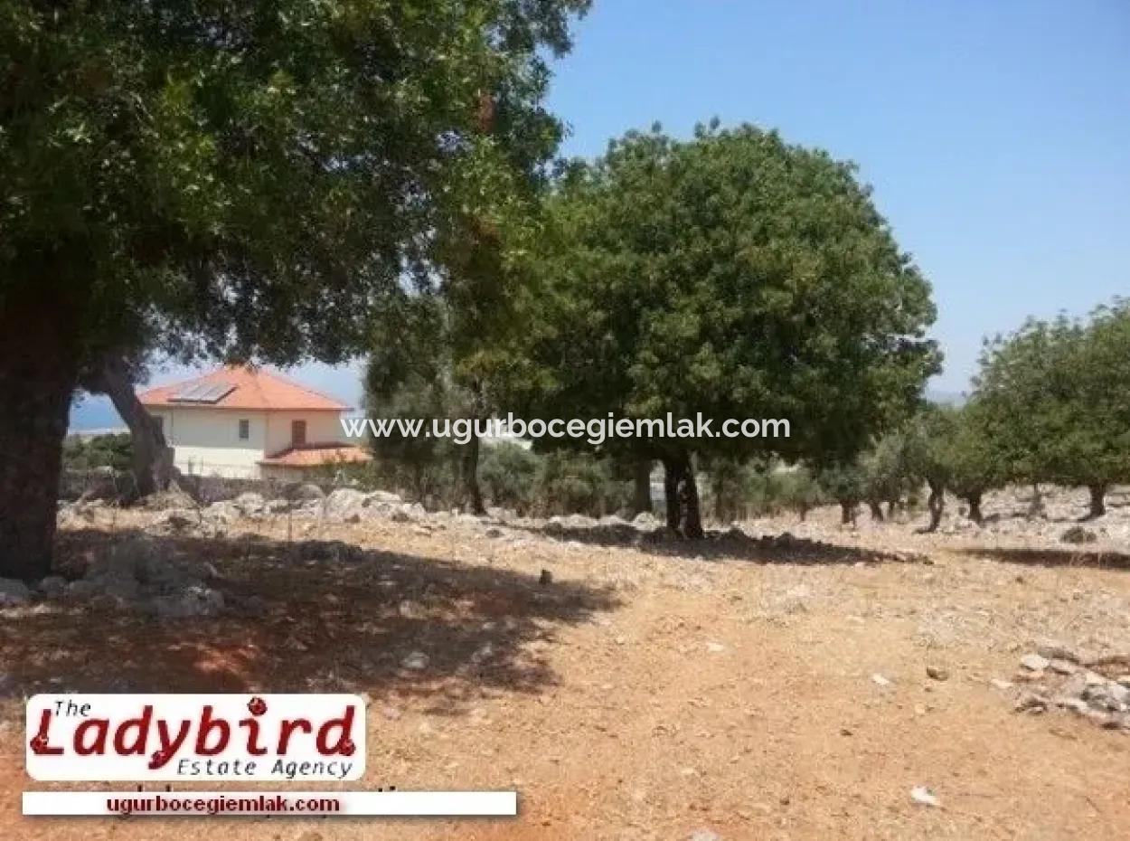 Dalaman, Incebel - 452 M2 Building Plot