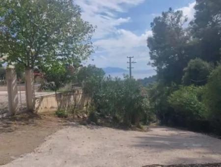 Olives For Sale With Sea View In Sarigerme