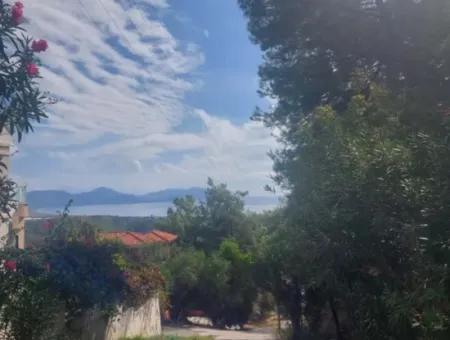 Olives For Sale With Sea View In Sarigerme