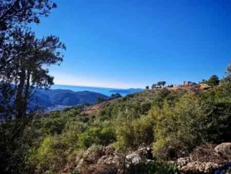 Field For Sale In Gocek Gökçeovacik Locality