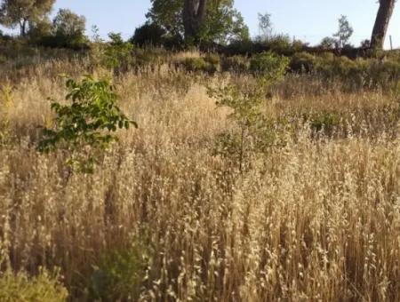 Dalaman, Elcik Village - Land For Sale