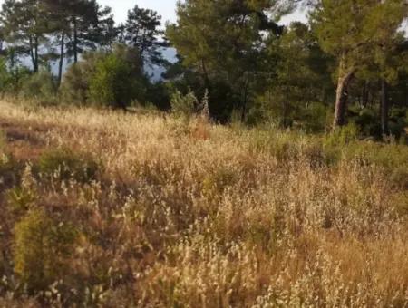 Dalaman, Elcik Village - Land For Sale