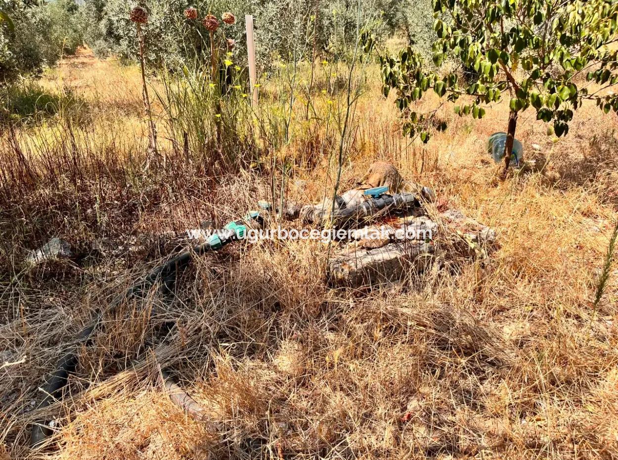 Dalaman Kayadibi Köyün De 5 Dönüm İçerisin De Evi Olan Tarla Satılık