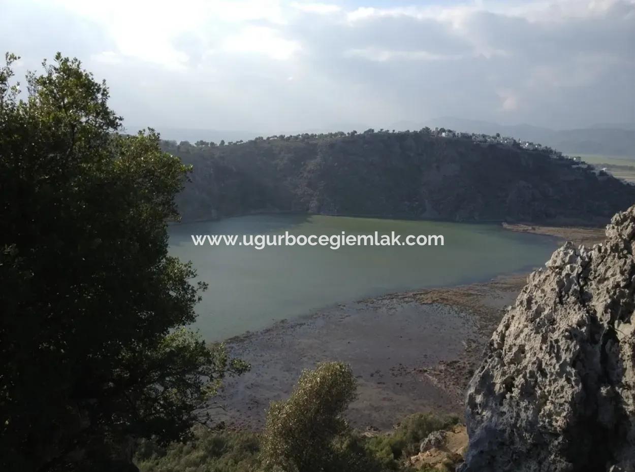 Dalaman Kapukargın Mahallesinde Satılık 67.200 M2 Zeytinlik