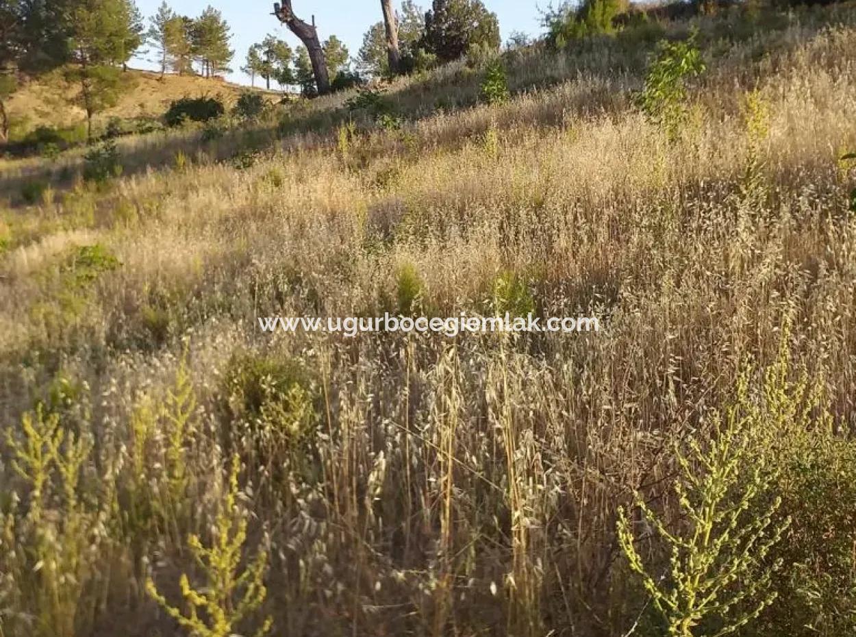 Dalaman Elcik Köyünde Satılık 20.000 M2 Tarla