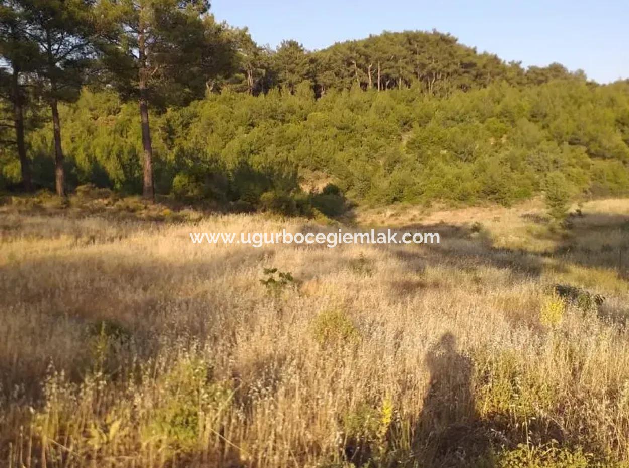 Dalaman Elcik Köyünde Satılık 20.000 M2 Tarla