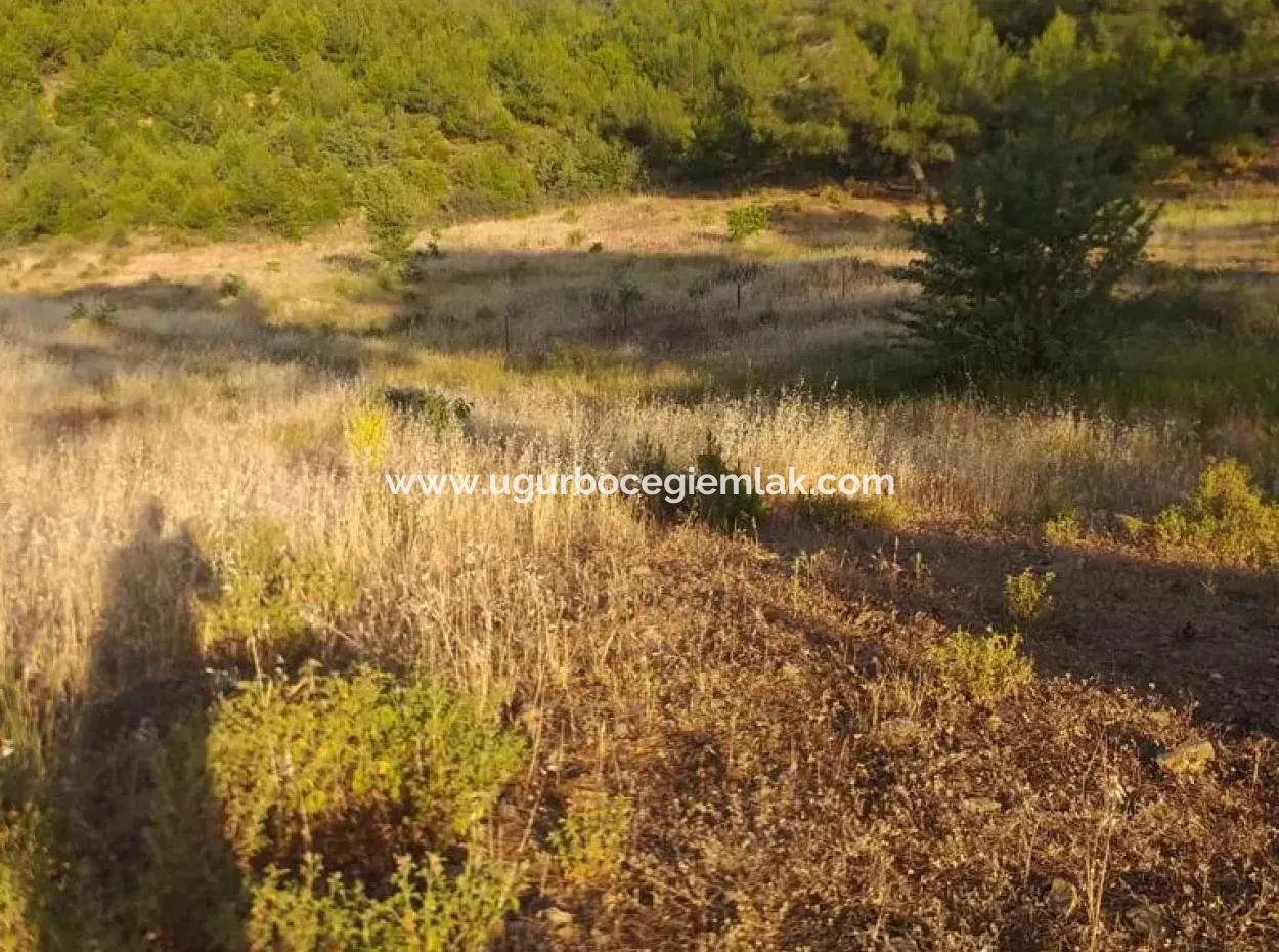 Dalaman Elcik Köyünde Satılık 20.000 M2 Tarla