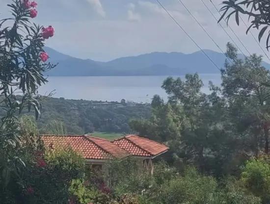 Sarıgerme De Deniz Manzaralı Satılık Zeytinlik