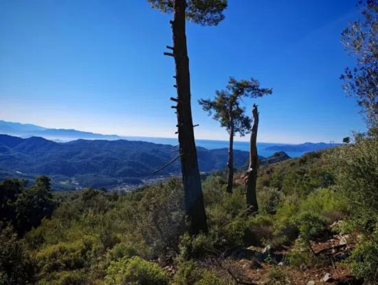 Göcek Gökçeovacık Mevkiin De Satılık Tarla