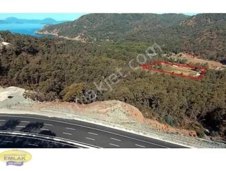 Fethiye Günlüklü Koyunda Satılık 6.793 M2 Yatırım Teşvikli Tarla