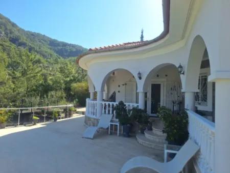 Dalaman, Akkaya Vadisi - Güzel 3 Yatak Odalı Bungalov