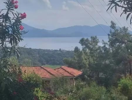 Sarıgerme De Deniz Manzaralı Satılık Zeytinlik