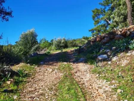 Göcek Gökçeovacık Mevkiin De Satılık Tarla