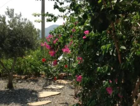 Sarıgerme Sarı Evler Sitesin De Muhteşem Satılık Villa