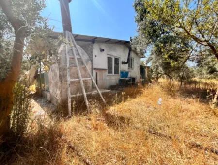 Dalaman Kayadibi Köyün De 5 Dönüm İçerisin De Evi Olan Tarla Satılık