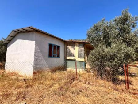 Dalaman Kayadibi Köyün De 5 Dönüm İçerisin De Evi Olan Tarla Satılık