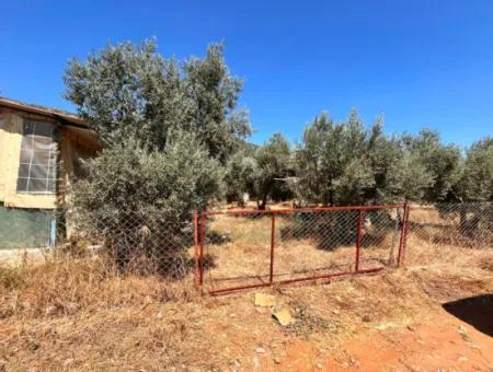 Dalaman Kayadibi Köyün De 5 Dönüm İçerisin De Evi Olan Tarla Satılık